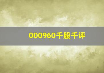 000960千股千评