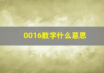 0016数字什么意思