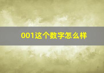 001这个数字怎么样