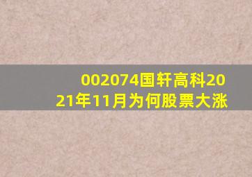 002074国轩高科2021年11月为何股票大涨