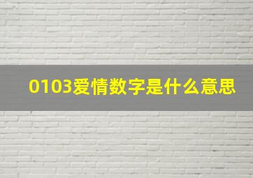 0103爱情数字是什么意思