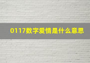 0117数字爱情是什么意思