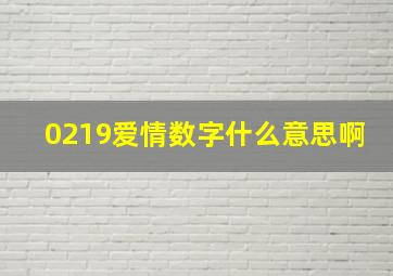 0219爱情数字什么意思啊