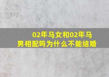 02年马女和02年马男相配吗为什么不能结婚