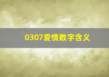 0307爱情数字含义