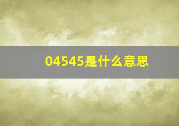 04545是什么意思