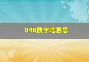 048数字啥意思