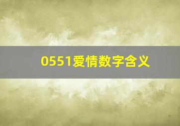 0551爱情数字含义