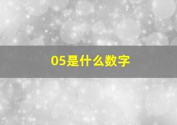 05是什么数字