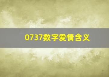 0737数字爱情含义