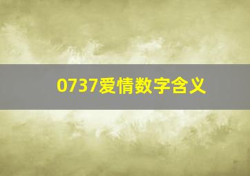 0737爱情数字含义