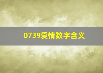 0739爱情数字含义