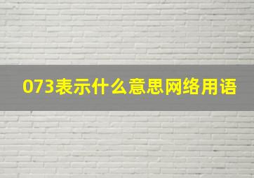 073表示什么意思网络用语