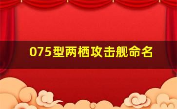 075型两栖攻击舰命名