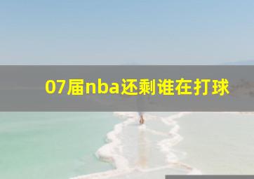 07届nba还剩谁在打球