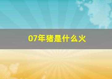 07年猪是什么火