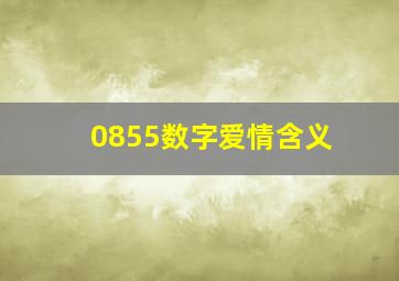 0855数字爱情含义