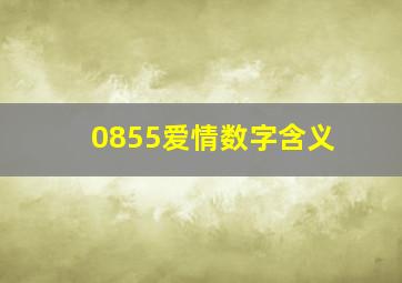 0855爱情数字含义