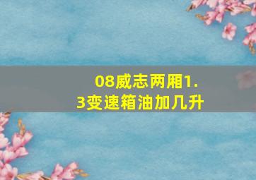 08威志两厢1.3变速箱油加几升