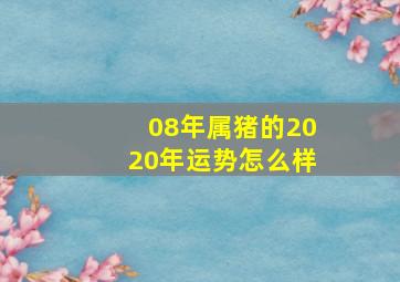 08年属猪的2020年运势怎么样