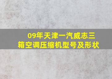 09年天津一汽威志三箱空调压缩机型号及形状