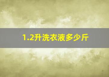 1.2升洗衣液多少斤