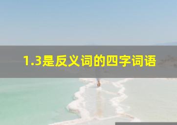 1.3是反义词的四字词语