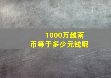 1000万越南币等于多少元钱呢