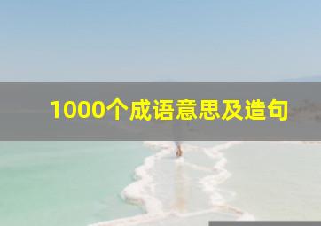 1000个成语意思及造句