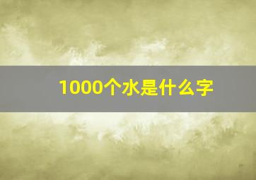 1000个水是什么字