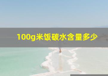 100g米饭碳水含量多少