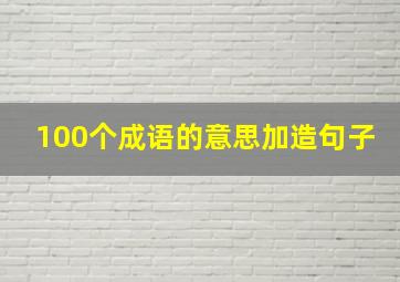 100个成语的意思加造句子