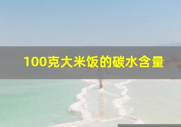 100克大米饭的碳水含量