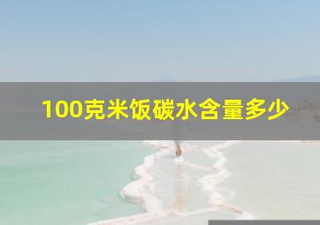 100克米饭碳水含量多少