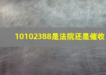 10102388是法院还是催收