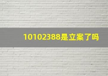 10102388是立案了吗