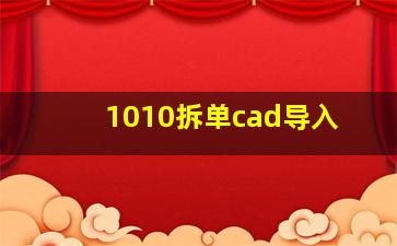 1010拆单cad导入