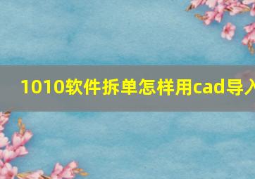 1010软件拆单怎样用cad导入