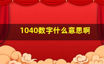 1040数字什么意思啊