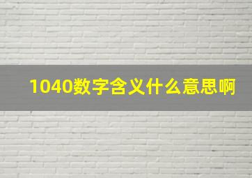 1040数字含义什么意思啊