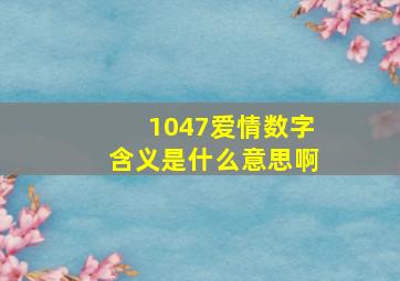 1047爱情数字含义是什么意思啊