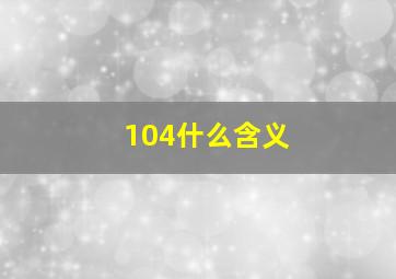 104什么含义