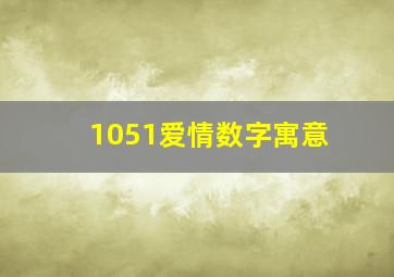 1051爱情数字寓意