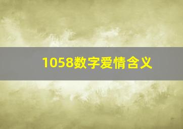 1058数字爱情含义