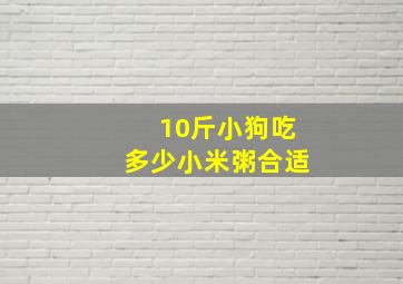 10斤小狗吃多少小米粥合适