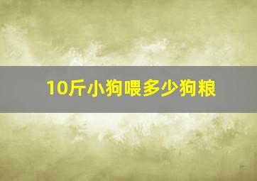 10斤小狗喂多少狗粮