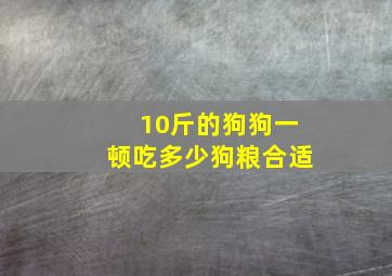 10斤的狗狗一顿吃多少狗粮合适