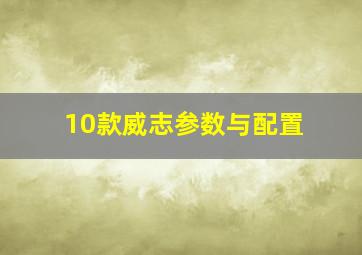 10款威志参数与配置