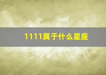 1111属于什么星座