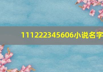 111222345606小说名字